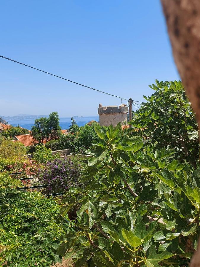 Dubrovnik Heritage Apartments Luaran gambar